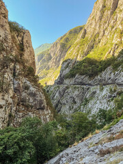 Obraz premium Beautiful Canyon of the Moracha river in Montenegro