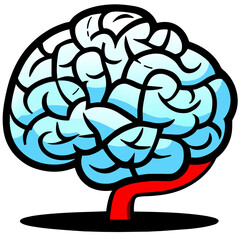 brain