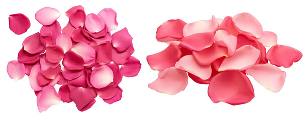 Pile of red valentine petals on white background