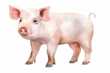 Watercolor hand-painted style of a piglet on a white background