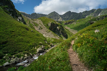 The valley of the Malaya Dukka River on the slopes of the Arkasar ridge in the North Caucasus and the tourist trail to the Dukka Lakes on a sunny summer day, Arkhyz, Karachay-Cherkessia, Russia