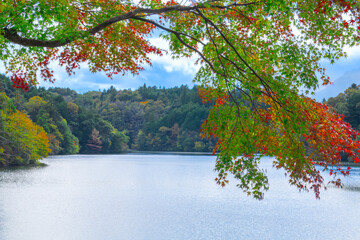 湖と紅葉