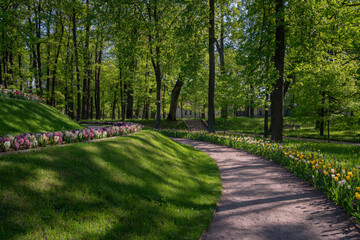 View of the alley and Flower Slide in Gatchinsky Park on a sunny summer day, Gatchina, Leningrad region, Russia - obrazy, fototapety, plakaty