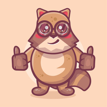cheerful raccoon animal character mascot with thumb up hand gesture isolated cartoon 