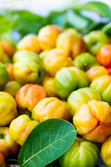 Barbados cherry or cherry ( scientific name Prunus