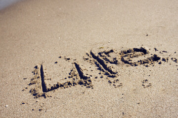 Life written in sand at the beach