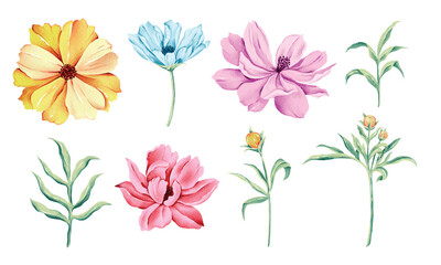 Fototapeta na wymiar Cosmos flower vector illustration, an element suitable for patterns, scarves, home decoration and more.