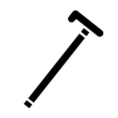  Walking Stick