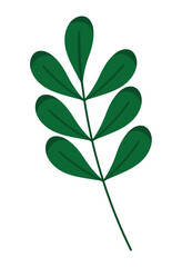olive branch design