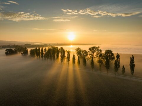 Aerial view of the Radolfzell Aachried with the poplar avenue on the Mooser Damm at sunrise and ground fog, on the horizon the town of Radolfzell on Lake Constance with the Mettnau peninsula, on the
