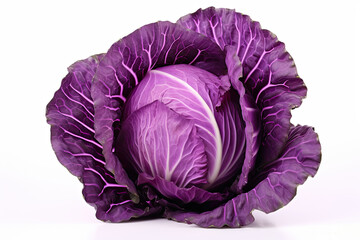 Obraz premium purple cabbage isolated on white background