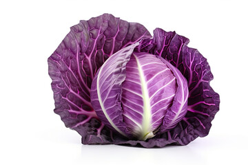Obraz premium purple cabbage isolated on white background