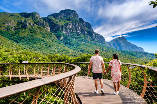couple of men and women walking at the Boomslang walkway in the Kirstenbosch Botanical Garden in Cape Town, Canopy bridge at Kirstenbosch Gardens in Cape Town, built above lush foliage in South Africa