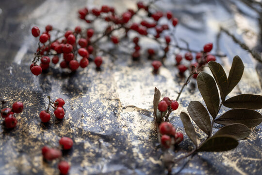 mesa de trabajo manchada de pigmento dorado con frutitos rojos silvestres secos
