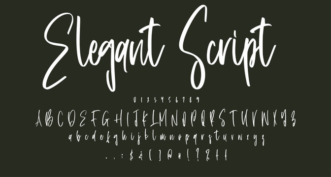  Elegant script font Best Alphabet Alphabet Brush Script Logotype Font lettering handwritten