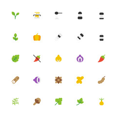 Seasoning Flat 2D Icon Collection with Editable Stroke and Pixel Perfection