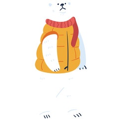 Bear Cute Animal Winter 2D Illustrations