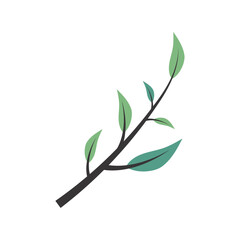 Fototapeta premium plant leaves branch illustration