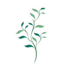 green plant leaves branch