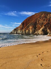 Summer Day at Gray Whale Cove