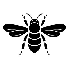 bee on white background