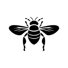 bee on white background