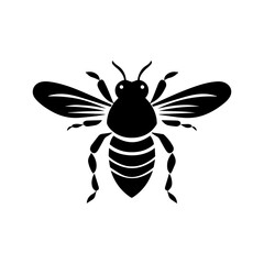bee on white background