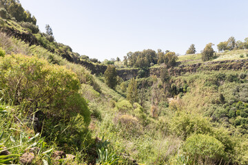 The slope  of the gorge overgrown with greenery in the El Al National Nature Reserve located in the northern Galilee in the North of Israel