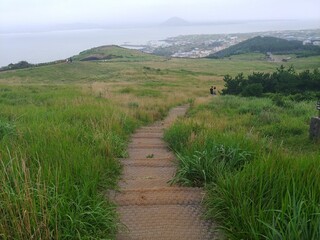 a downhill path to the meadow