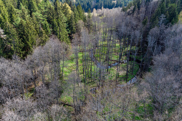 View from a drone of a stream flowing through a spring forest