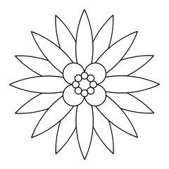 Flower line art. Design element with floral theme.