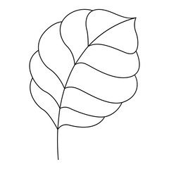 Leaf line art. Design element with floral theme.