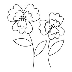 Flower line art. Design element with floral theme.