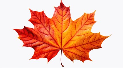 Naklejka na ściany i meble Autumns Palette Maple Leaf in Fall Colors. Generative AI