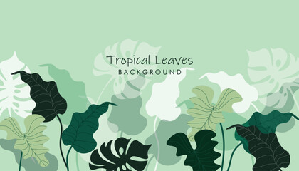 Abstract foliage tropical botanical background. Green tropical forest wallpaper of monstera leaves, palm leaf, branches in hand drawn pattern. Exotic plants background © Nartco