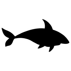 silhouette of a shark