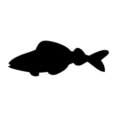 silhouette of a collection of black fish swimming