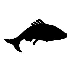 silhouette of a collection of black fish swimming