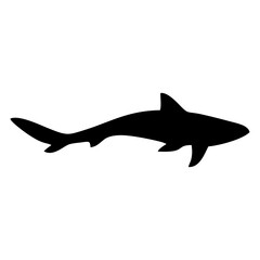 silhouette of a shark