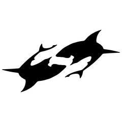 silhouette of a shark