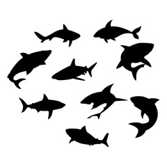 silhouettes of sharks