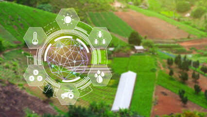 Infographics smart farming and precision agriculture with visual icon, Innovation technology for smart farm system, Agriculture management, smart technology concept modern technology.
