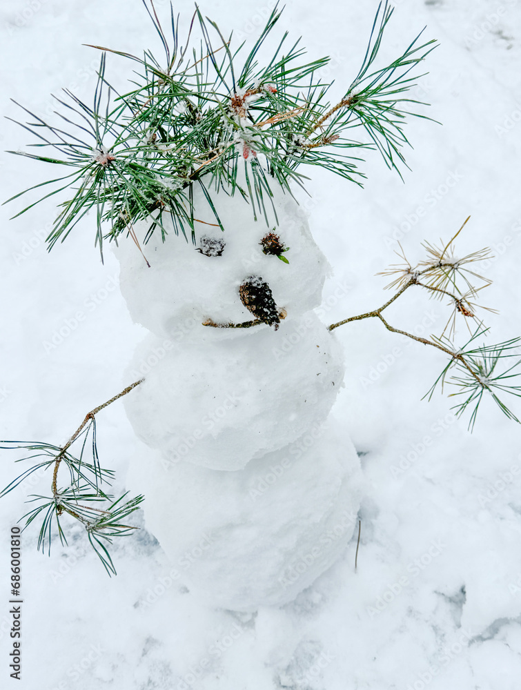 Canvas Prints Snowman in nature in winter