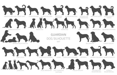 Dog breeds silhouettes, simple style clipart. Guardian dogs and service dog collection - obrazy, fototapety, plakaty