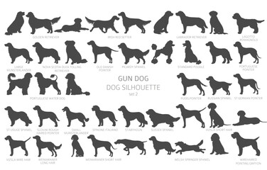 Dog breeds silhouettes, simple style clipart. Hunting dogs, Gun dogs collection - obrazy, fototapety, plakaty