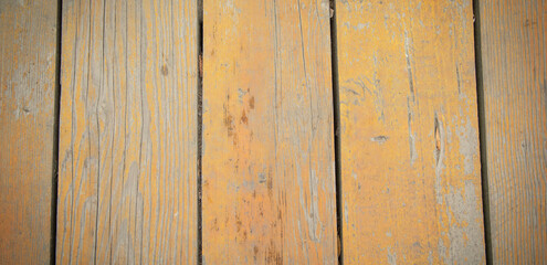 Wooden background or texture. Background