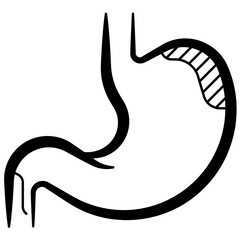 Stomach Icon