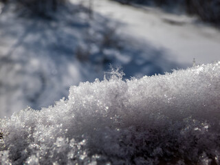 Macro of the beautiful, geometrical snowflake reflecting light in crystals on snow surface. Detailed shot of a snowflake