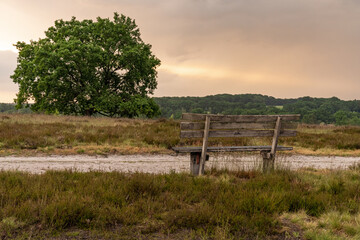 A bench with a view at the landscape in the Lueneburg Heath, Low