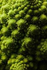 Vertical closeup of romanesco broccoli with fractal spikes, copy space